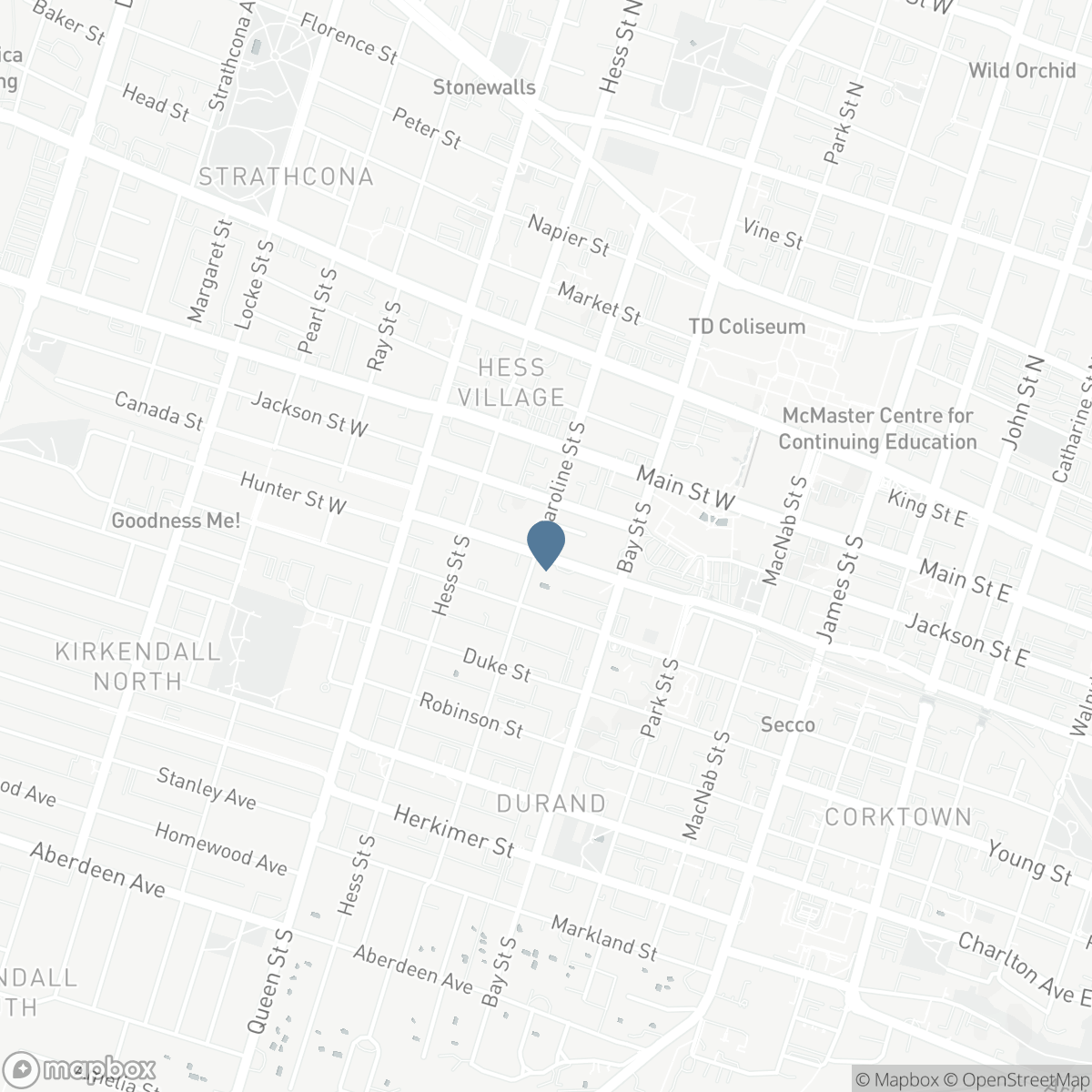 144 HUNTER STREET W, Hamilton, Ontario L8P 1R1